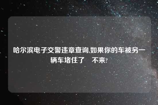 哈尔滨电子交警违章查询,如果你的车被另一辆车堵住了岀不来?