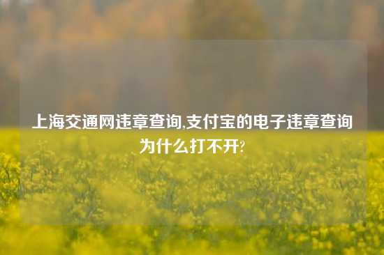 上海交通网违章查询,支付宝的电子违章查询为什么打不开?