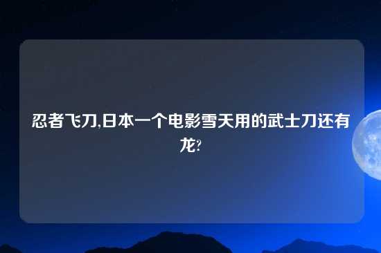 忍者飞刀,日本一个电影雪天用的武士刀还有龙?