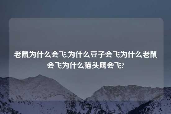 老鼠为什么会飞,为什么豆子会飞为什么老鼠会飞为什么猫头鹰会飞?