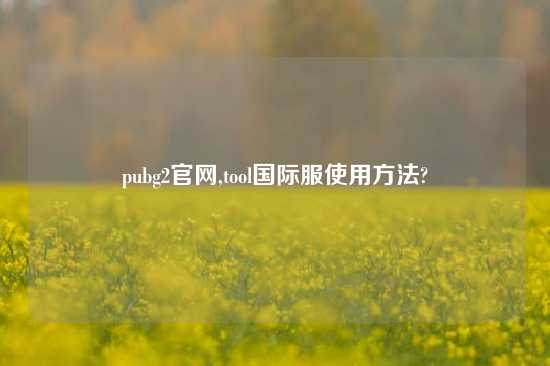 pubg2官网,tool国际服使用方法?