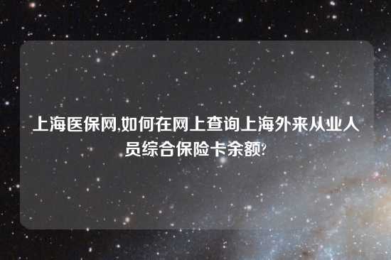 上海医保网,如何在网上查询上海外来从业人员综合保险卡余额?