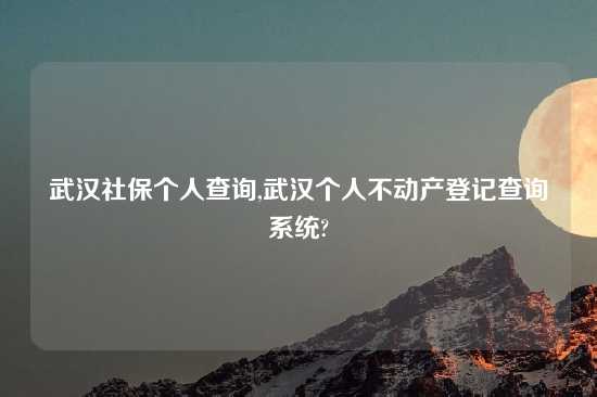 武汉社保个人查询,武汉个人不动产登记查询系统?