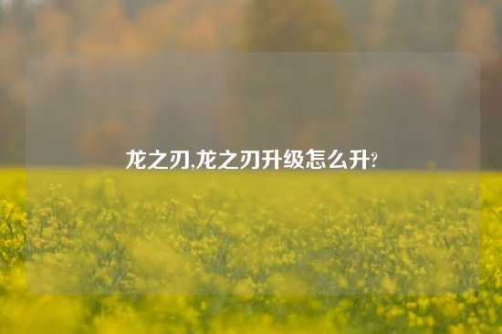 龙之刃,龙之刃升级怎么升?
