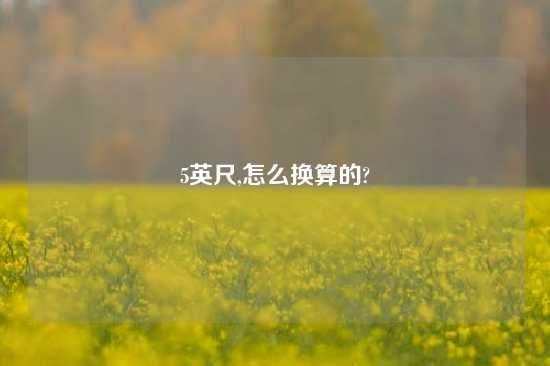 5英尺,怎么换算的?