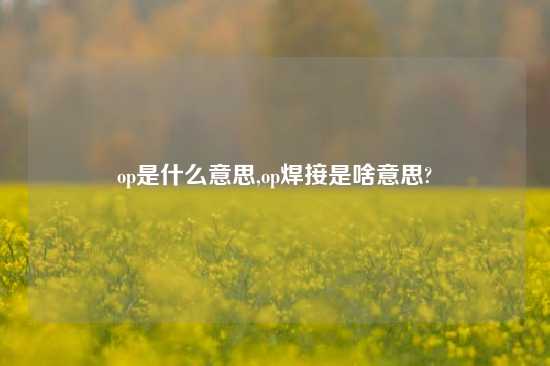 op是什么意思,op焊接是啥意思?