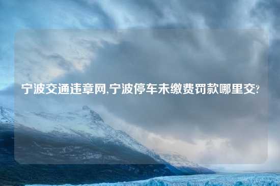 宁波交通违章网,宁波停车未缴费罚款哪里交?