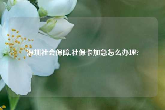 深圳社会保障,社保卡加急怎么办理?