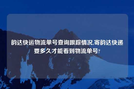 韵达快运物流单号查询跟踪情况,寄韵达快递要多久才能看到物流单号?