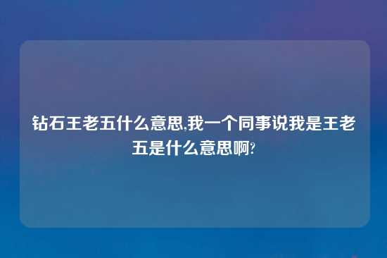 钻石王老五什么意思,我一个同事说我是王老五是什么意思啊?