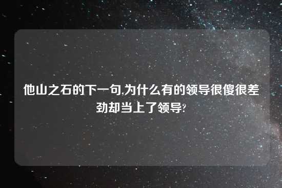 他山之石的下一句,为什么有的领导很傻很差劲却当上了领导?