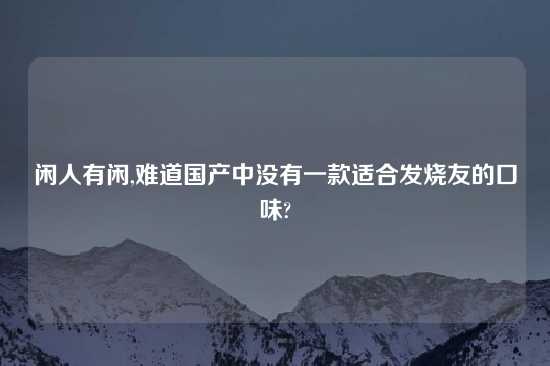 闲人有闲,难道国产中没有一款适合发烧友的口味?
