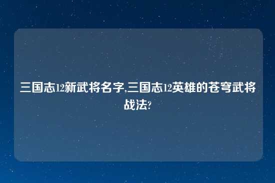 三国志12新武将名字,三国志12英雄的苍穹武将战法?