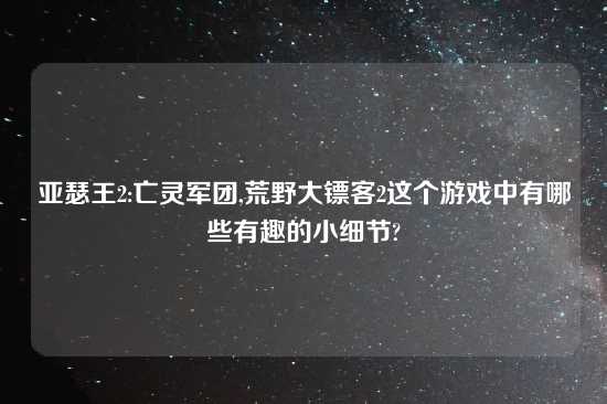 亚瑟王2:亡灵军团,荒野大镖客2这个游戏中有哪些有趣的小细节?