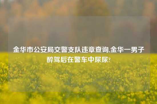 金华市公安局交警支队违章查询,金华一男子醉驾后在警车中尿尿?