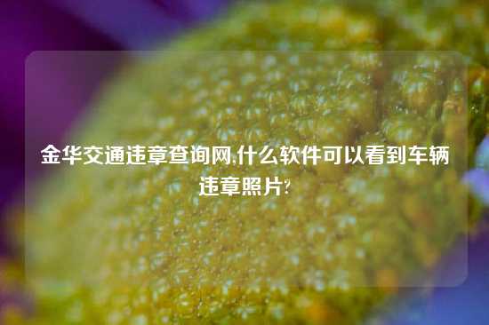 金华交通违章查询网,什么软件可以看到车辆违章照片?