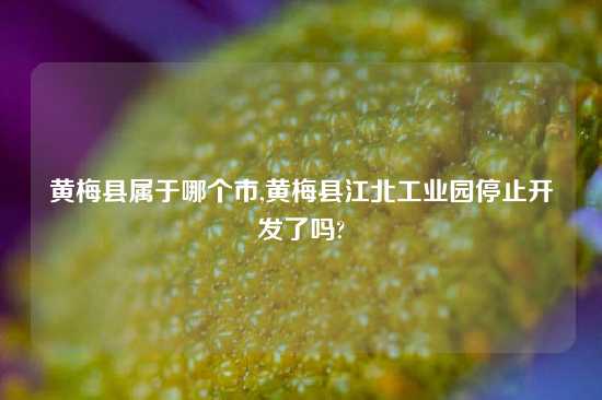 黄梅县属于哪个市,黄梅县江北工业园停止开发了吗?