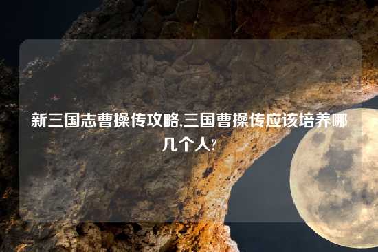 新三国志曹操传攻略,三国曹操传应该培养哪几个人?