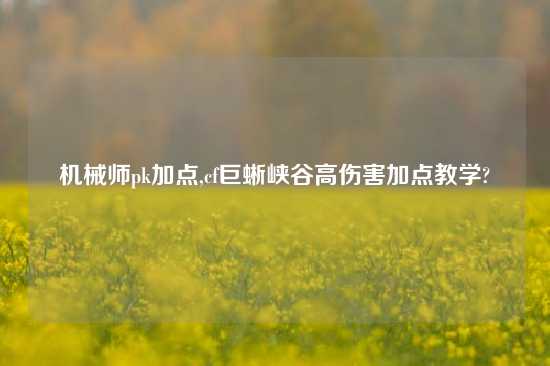 机械师pk加点,cf巨蜥峡谷高伤害加点教学?