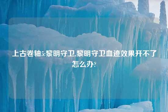 上古卷轴5:黎明守卫,黎明守卫血迹效果开不了怎么办?