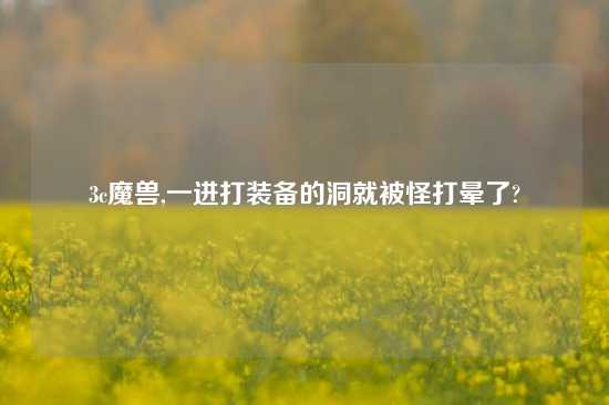 3c魔兽,一进打装备的洞就被怪打晕了?