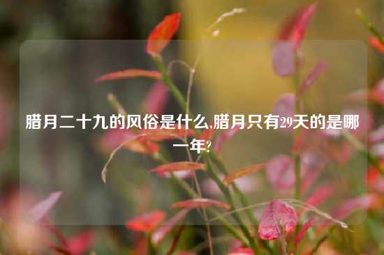 腊月二十九的风俗是什么,腊月只有29天的是哪一年?