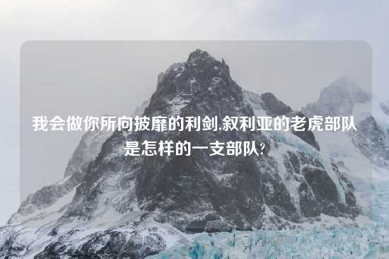 我会做你所向披靡的利剑,叙利亚的老虎部队是怎样的一支部队?