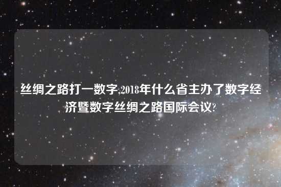 丝绸之路打一数字,2018年什么省主办了数字经济暨数字丝绸之路国际会议?