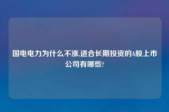 国电电力为什么不涨,适合长期投资的A股上市公司有哪些?