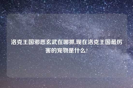 洛克王国邪恶玄武在哪抓,现在洛克王国最厉害的宠物是什么?