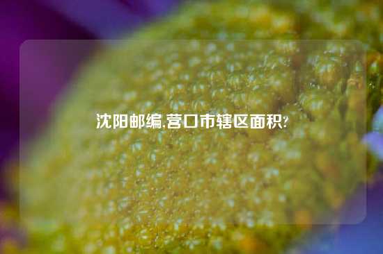 沈阳邮编,营口市辖区面积?