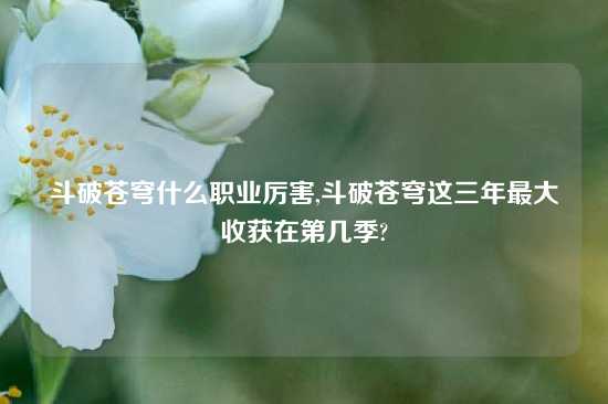 斗破苍穹什么职业厉害,斗破苍穹这三年最大收获在第几季?