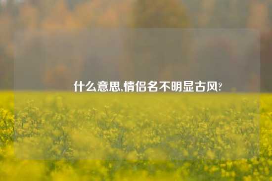 眰恦什么意思,情侣名不明显古风?