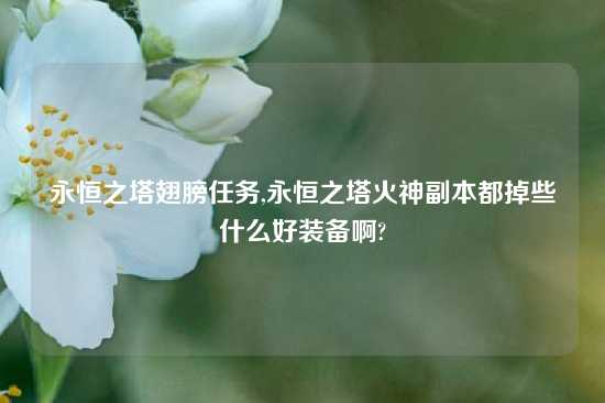 永恒之塔翅膀任务,永恒之塔火神副本都掉些什么好装备啊?