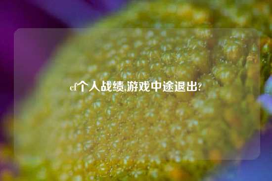 cf个人战绩,游戏中途退出?