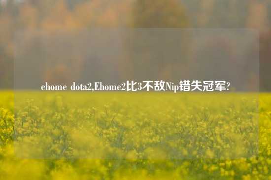 ehome dota2,Ehome2比3不敌Nip错失冠军?