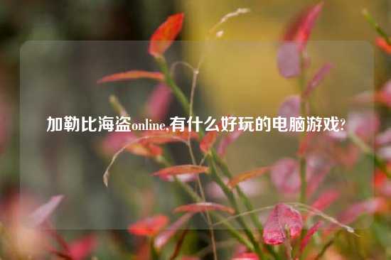 加勒比海盗online,有什么好玩的电脑游戏?