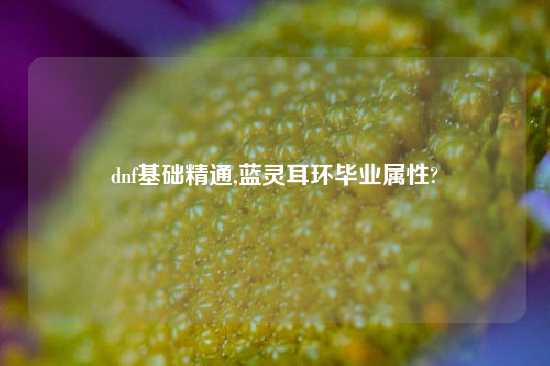 dnf基础精通,蓝灵耳环毕业属性?