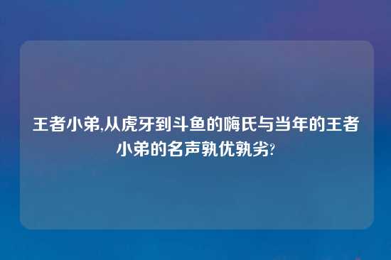 王者小弟,从虎牙到斗鱼的嗨氏与当年的王者小弟的名声孰优孰劣?