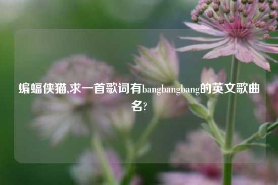 蝙蝠侠猫,求一首歌词有bangbangbang的英文歌曲名?