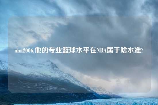 nba2006,他的专业篮球水平在NBA属于啥水准?