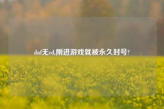 dnf无cd,刚进游戏就被永久封号?