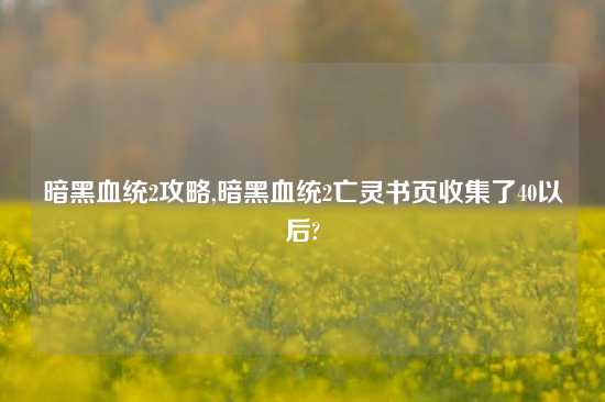 暗黑血统2攻略,暗黑血统2亡灵书页收集了40以后?