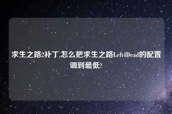 求生之路2补丁,怎么把求生之路Left4Dead的配置调到最低?