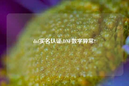 dnf实名认证,DNF数字异常?