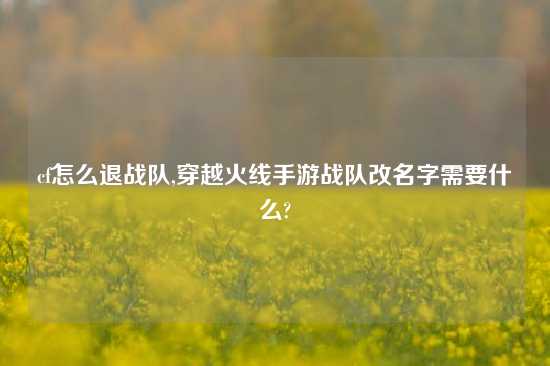 cf怎么退战队,穿越火线手游战队改名字需要什么?
