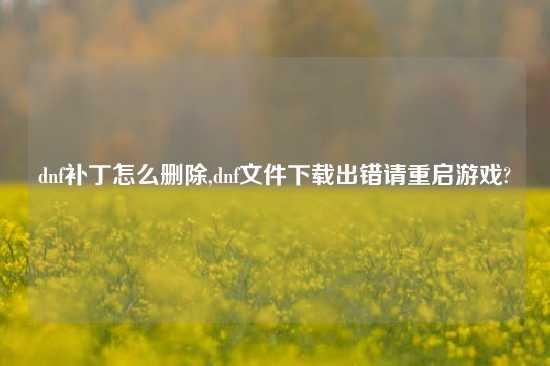 dnf补丁怎么删除,dnf文件下载出错请重启游戏?