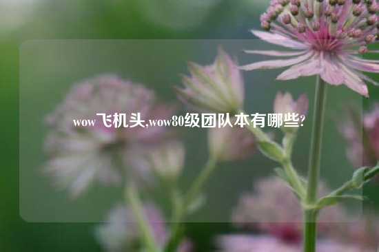 wow飞机头,wow80级团队本有哪些?