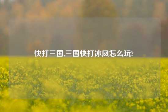 快打三国,三国快打冰凤怎么玩?