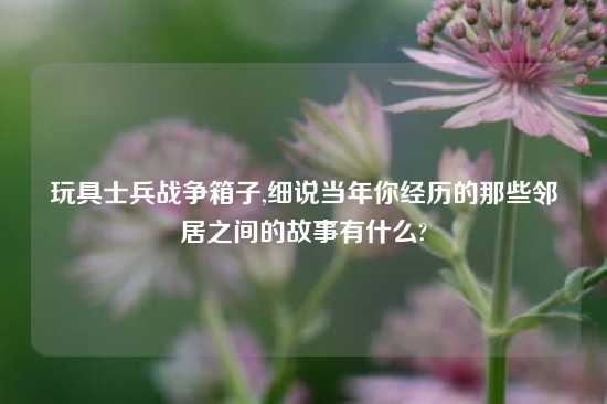 玩具士兵战争箱子,细说当年你经历的那些邻居之间的故事有什么?